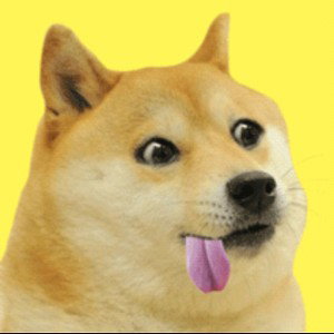Doge Bubble