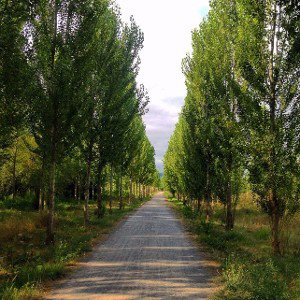 🎶🍀Sendero Recorrido🌕🌌
