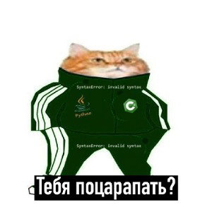 тебя поцарапать? 