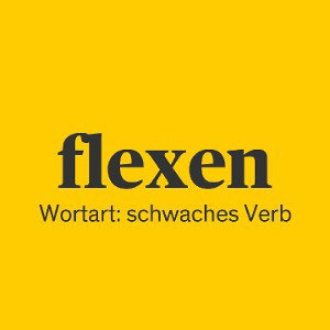 ZarraZZa- WIE ICH FLEXE