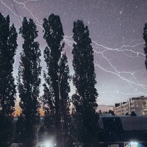 Я выбираю сам