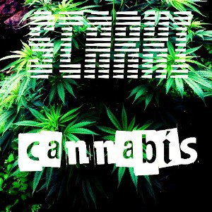 STARKI - Kannabiss