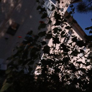 Жизнь трудна (14:56)