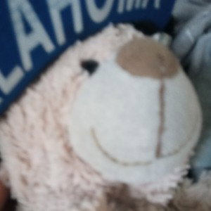 Teddy Story 5