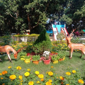 মা মরেছে বিষে