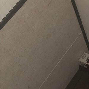 Percy freestyle