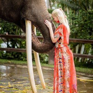 elephant I love,love u untie jean 
