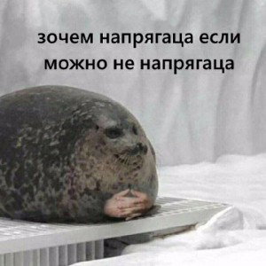 ФРИСТАЙЛ 