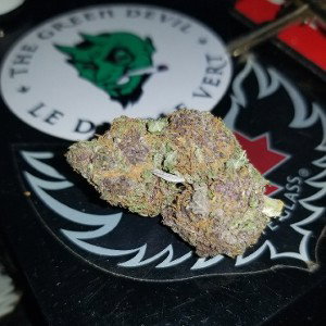 Kush Strain