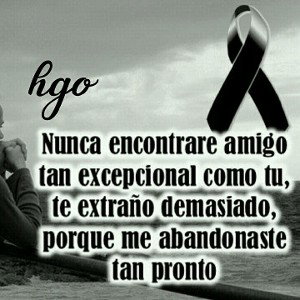 adiós amigo