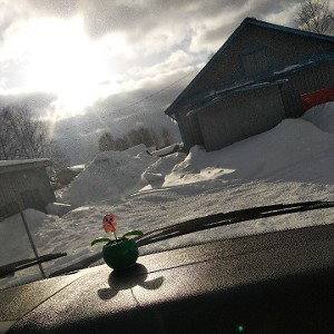 в честь Димки