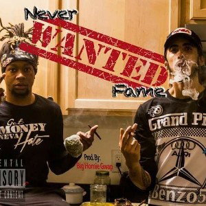 Never Wanted Fame