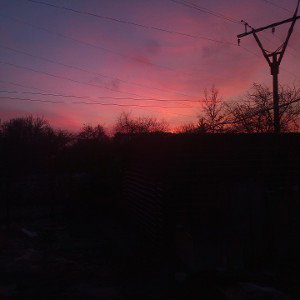 дружба