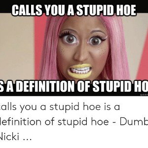 Stupid Gay Hoe