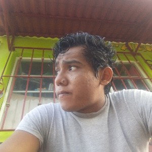 perfecta