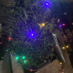 Christmas