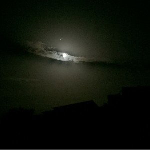 FAT (20:41)