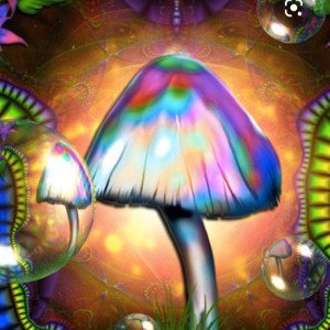 Psilocybin 