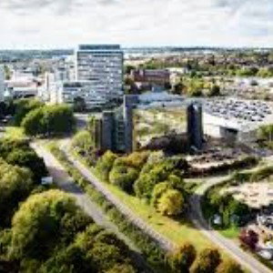 in a basingstoke state of mind 