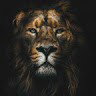 01_2MOROW
