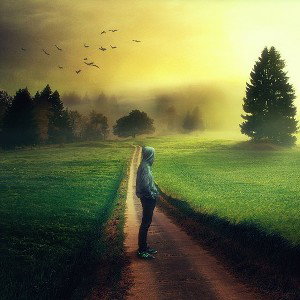 free life