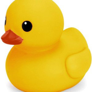 Duck 🦆 (Best rap)