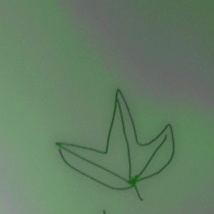 weed