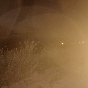 Разовая