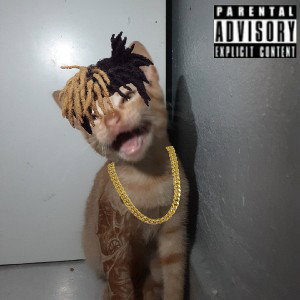 Xxxtancionrubio remix