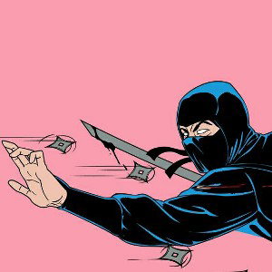 Ninja del flow 