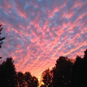 Skies_freestyle