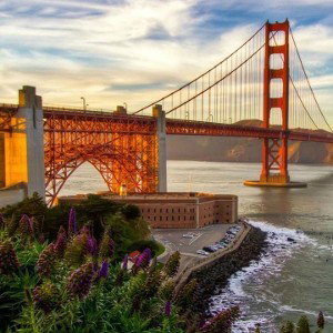              WEST  COAST               