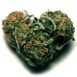 weed 