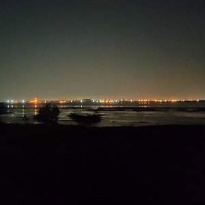 Audio_166584