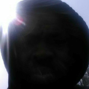 to shepdog