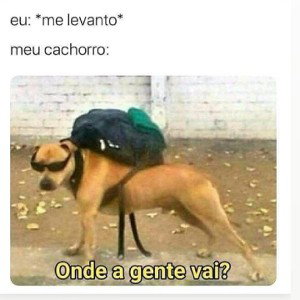 Passas de Ganzas - ONYEKASHI