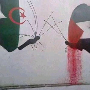 فلسطين