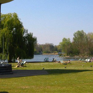 ParkParty