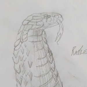 2020s hard-kotic