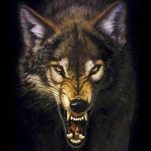 Big Bad Wolf