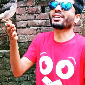 লিটন 