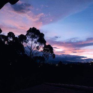 Hola Soledad 
