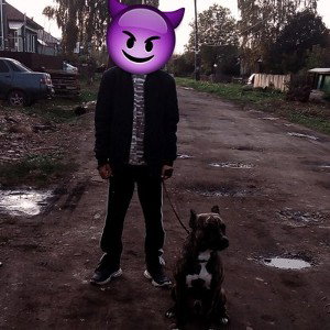 прадо