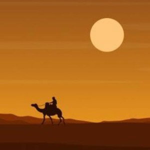 Frestyle Arabe 