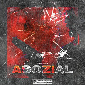 Qicinero - Assozial