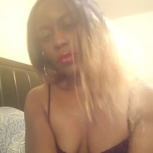 put it up