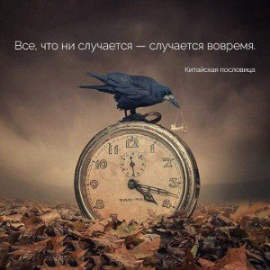 хай