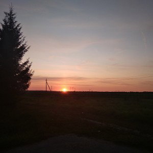 Молодой в стихах
