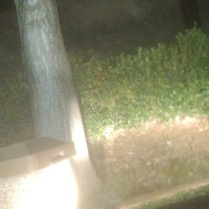 TheLightShinesFreestyle