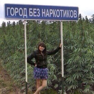 курю траву